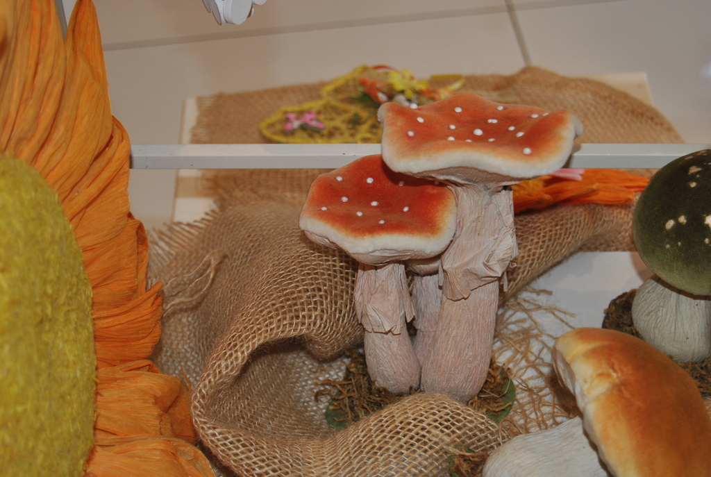 No s'ha trobat l'arxiu